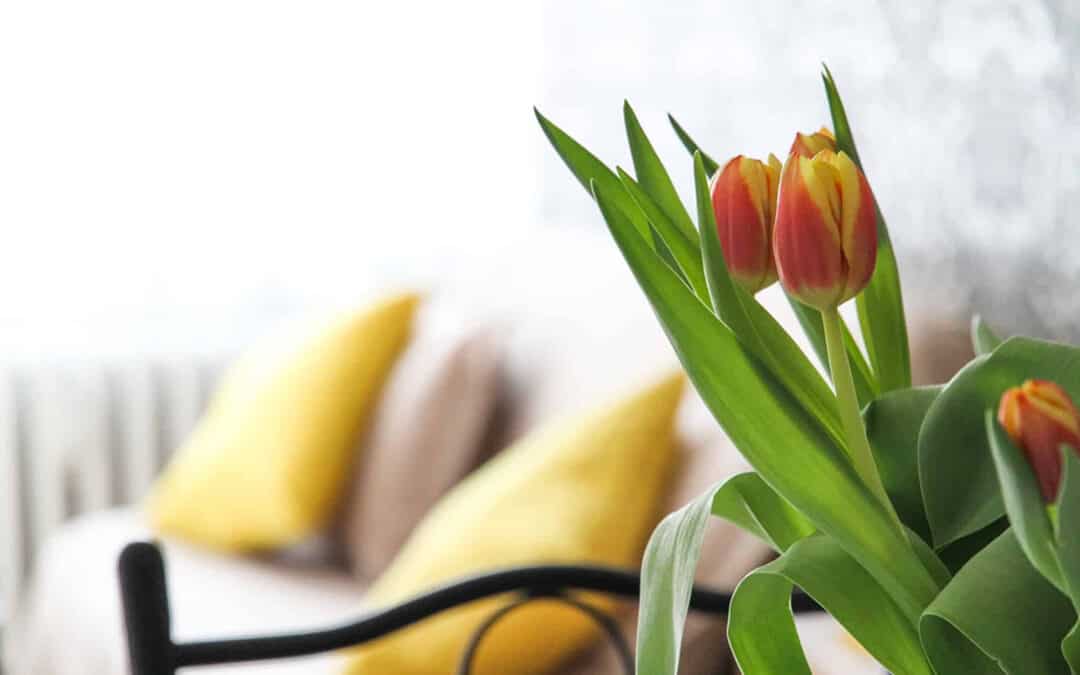 20 Ways to Refresh Your Home for Spring